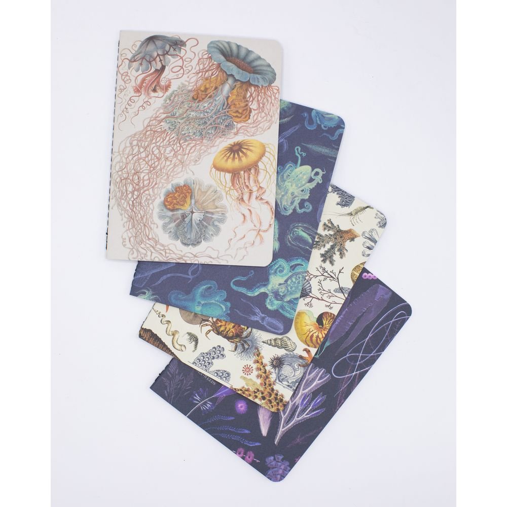 Set de 4 cuadernos bolsillo animales marinos Cognitive Ciencia Imagen principal del producto