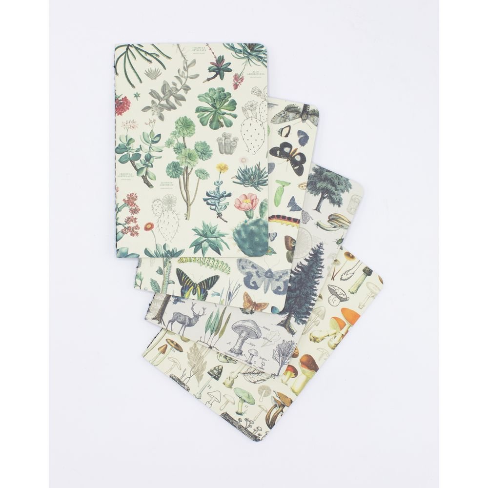 Set 4 Cuadernos de Bolsillo El Bosque Cognitive Ciencia