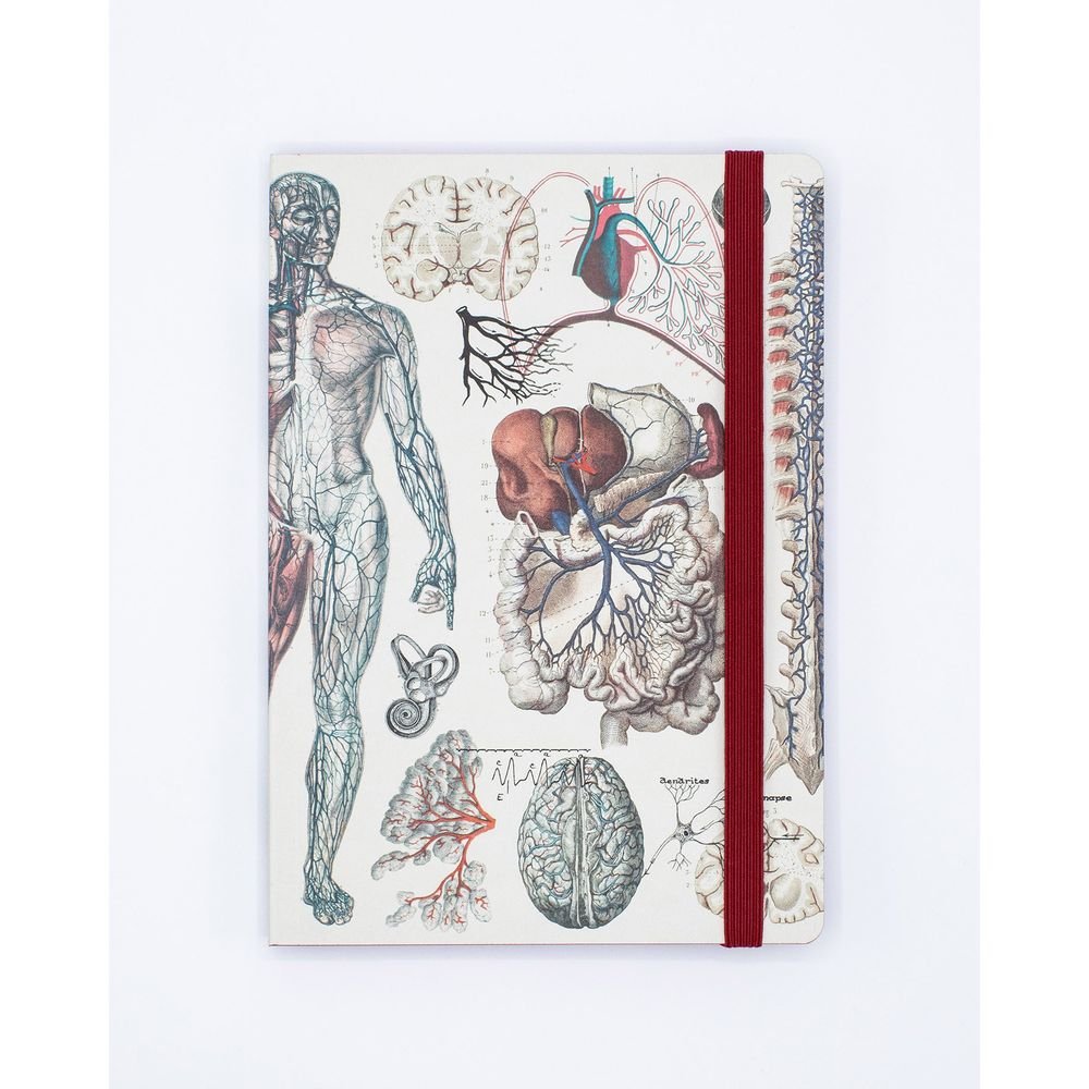 Notebook tapa blanda A5 anatomía Cognitive Ciencia