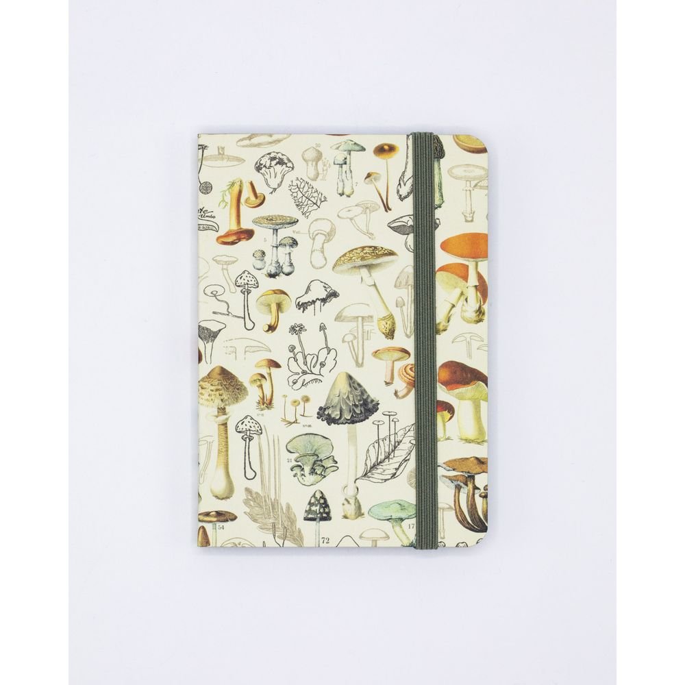 Notebook A7 Setas Cognitive Ciencia