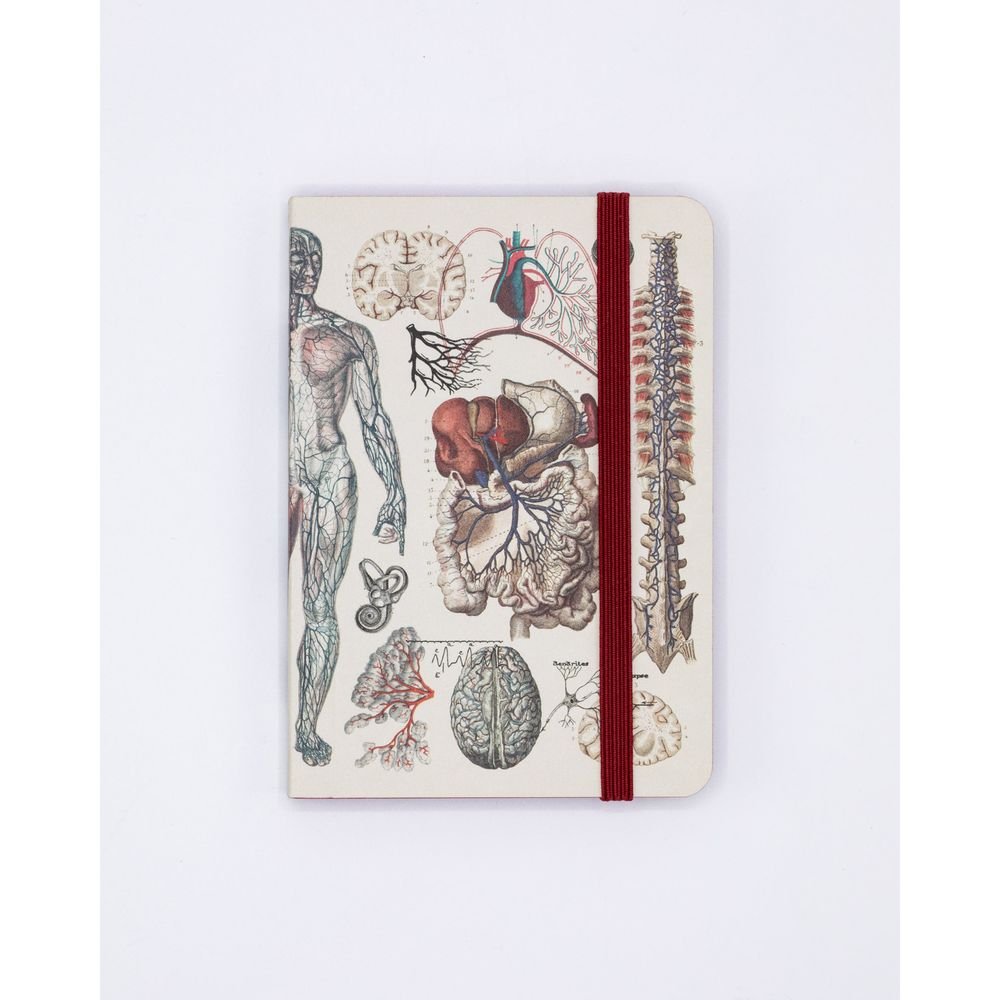 Notebook A7 Anatomia Cognitive Ciencia
