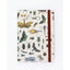 Notebook A5 Tapa Blanda Mariposas Cognitive Ciencia