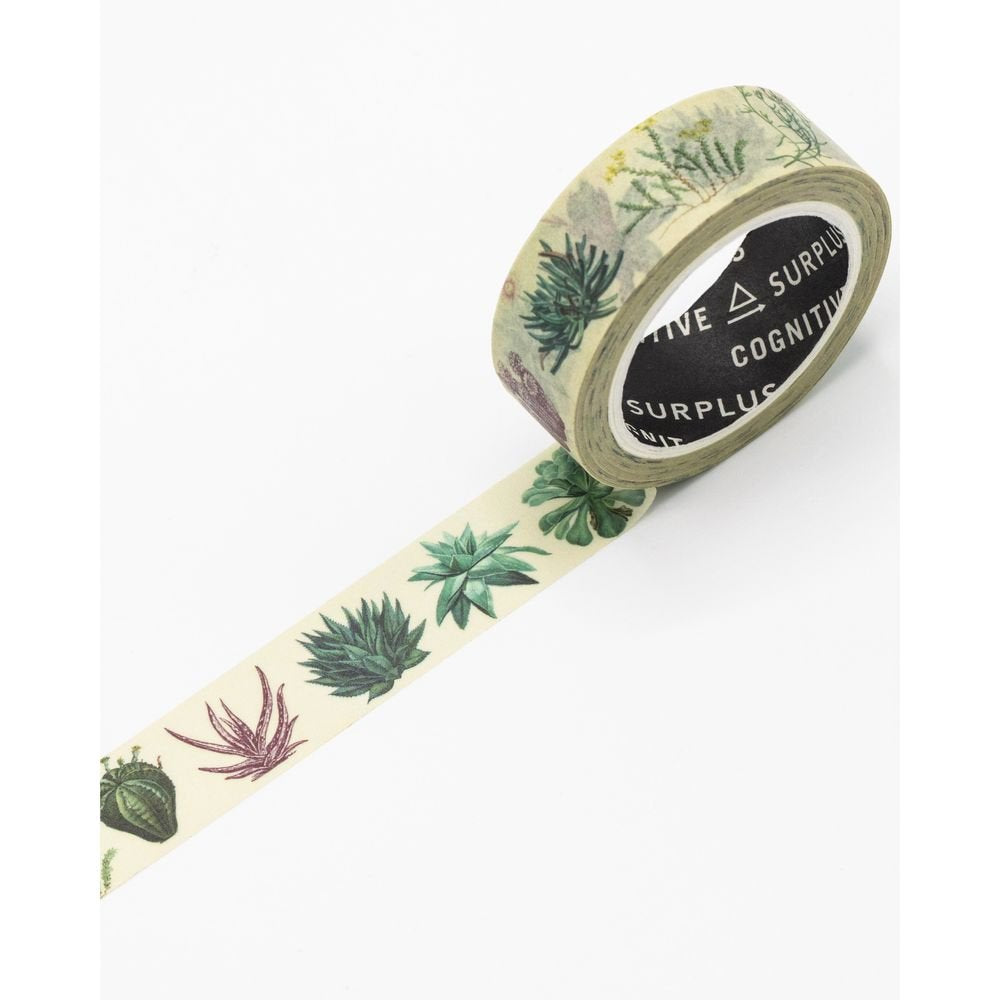 Cinta Washi Cactus Cognitve Ciencia Pack 1 x 1,5 m