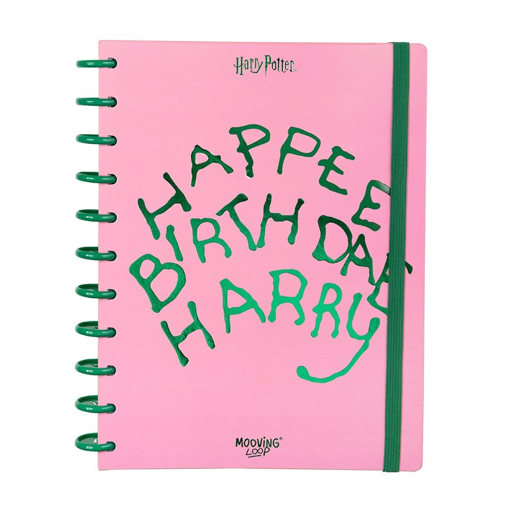 Cuaderno de discos A4 Harry Potter - Mooving