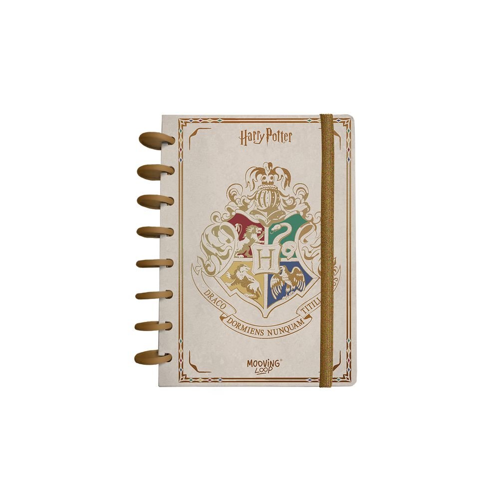 Set recambio hojas cuaderno discos A5 Harry Potter