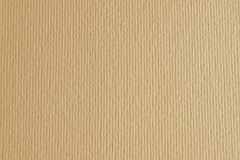 CARTULINA SADIPAL LISO/RUGOSO 50X70 CREMA | 20 UNIDADES | (SADIPAL)
