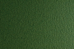 CARTULINA SADIPAL LISO/RUGOSO 50X70 VERDONE | 20 UNIDADES | (SADIPAL)