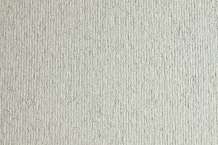 CARTULINA SADIPAL LISO/RUGOSO 50X70 BRINA | 20 UNIDADES | (SADIPAL) Imagen principal del producto