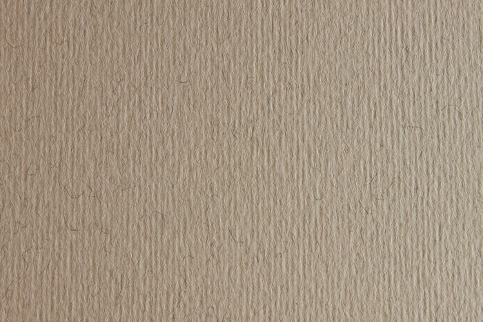 CARTULINA SADIPAL LISO/RUGOSO 50X70 CHINA | 20 UNIDADES | (SADIPAL) Imagen principal del producto
