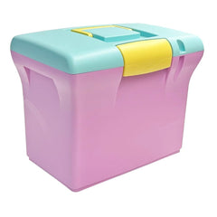 CAJON DE PLASTICO CON TAPADERA Y ASA EN TONO PASTEL ROSA | 1 UNIDADES | (ARDA)