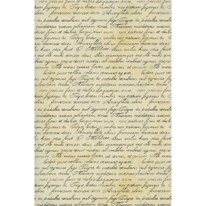 Bobina Papel Regalo Todo Año 31 cm Escritura Texto Latin SADOCH
