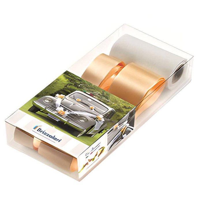 Kit de decoración para coche Salmon BRIZZOLARI
