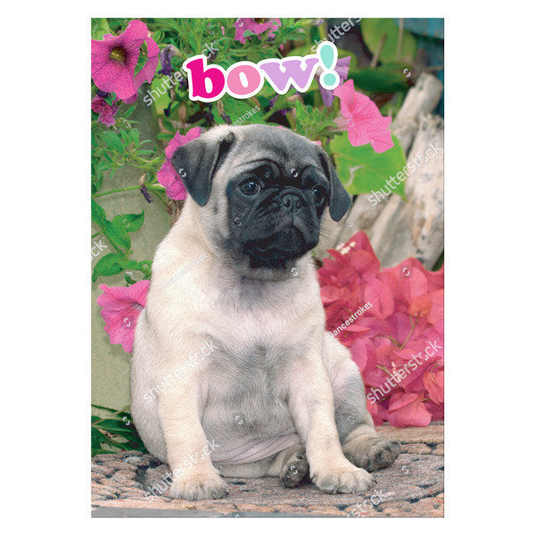 Juego Crea con Diamantes Diamantiny Pets Pug