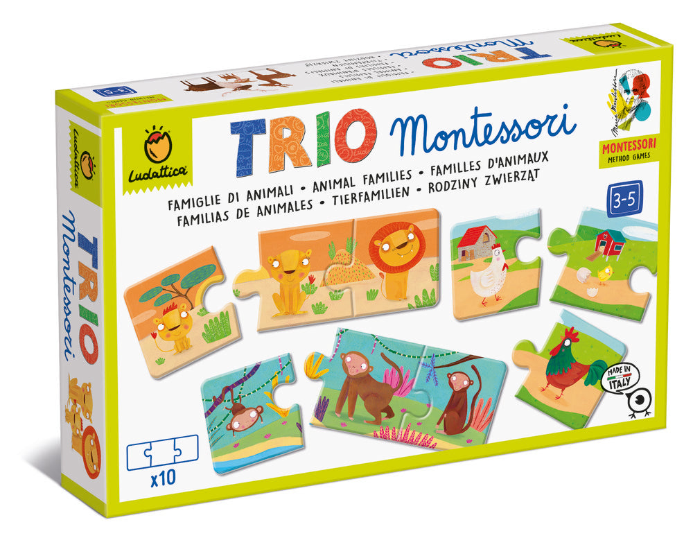 JUEGO TRIO LOGIC MONTESSORI FAMILIAS DE ANIMALES | LUDATTICA | 1 UNIDAD | 8057158623850 Imagen principal del producto