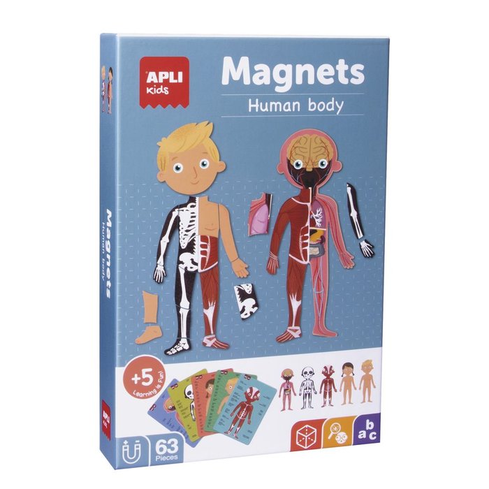 MAGNETS EL CUERPO HUMANO | APLI JUEGOS | 1 UNIDAD | 8410782185314 Imagen principal del producto