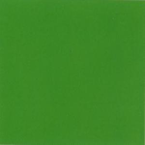 ROLLO AIRON FIX 0,45X2M MATE VERDE 2 | 1 UNIDADES | (SPANDE NORWICK, S,L,) Imagen principal del producto