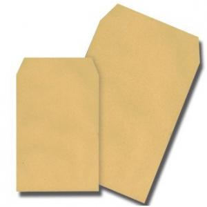 SOBRE KRAFT BOLSA SILK-3 SALARIO 120X170 TIRA SILICONA 1000 | 1 UNIDADES | (SAM TALLERES MANIPULACION)