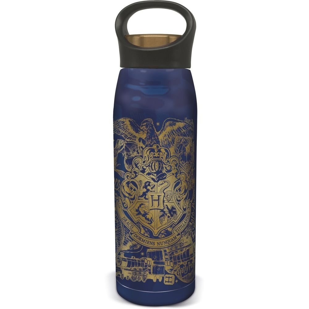 Botella Termo Acerada Harry Potter Magic & Mayhem STOR 665 ml