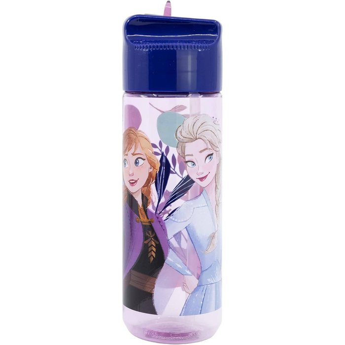 BOTELLA ECOZEN HIDRO GRANDE 540 ML FROZEN TRUST THE JOURNE | STOR | 1 UNIDAD | 8412497742233 Imagen principal del producto