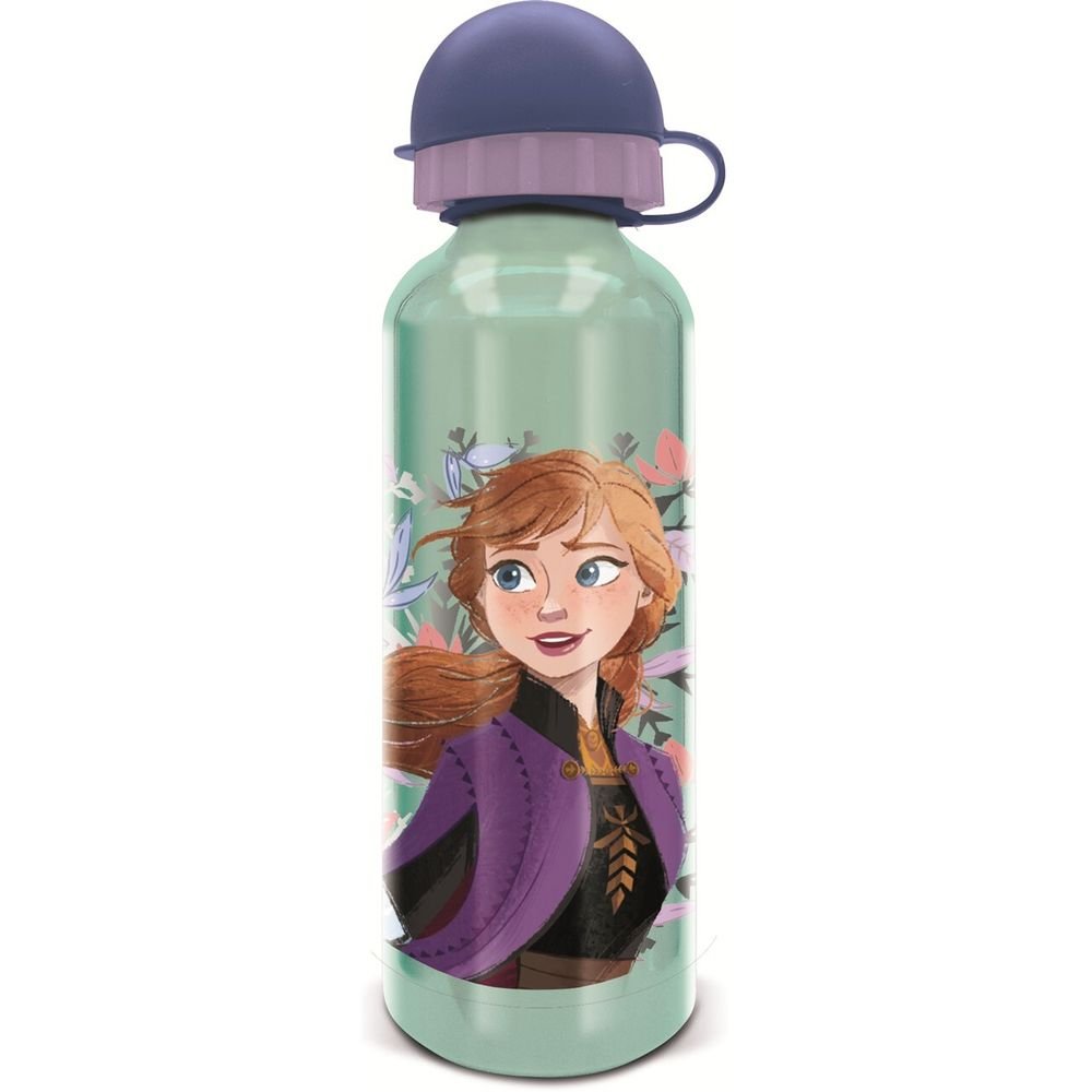 Botella Aluminio 530ml Frozen Snowy Tale Stor