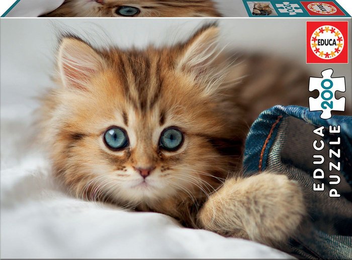 PUZZLE 200 PIEZAS GATITO | EDUCA-BORRAS | 1 UNIDAD | 8412668171541