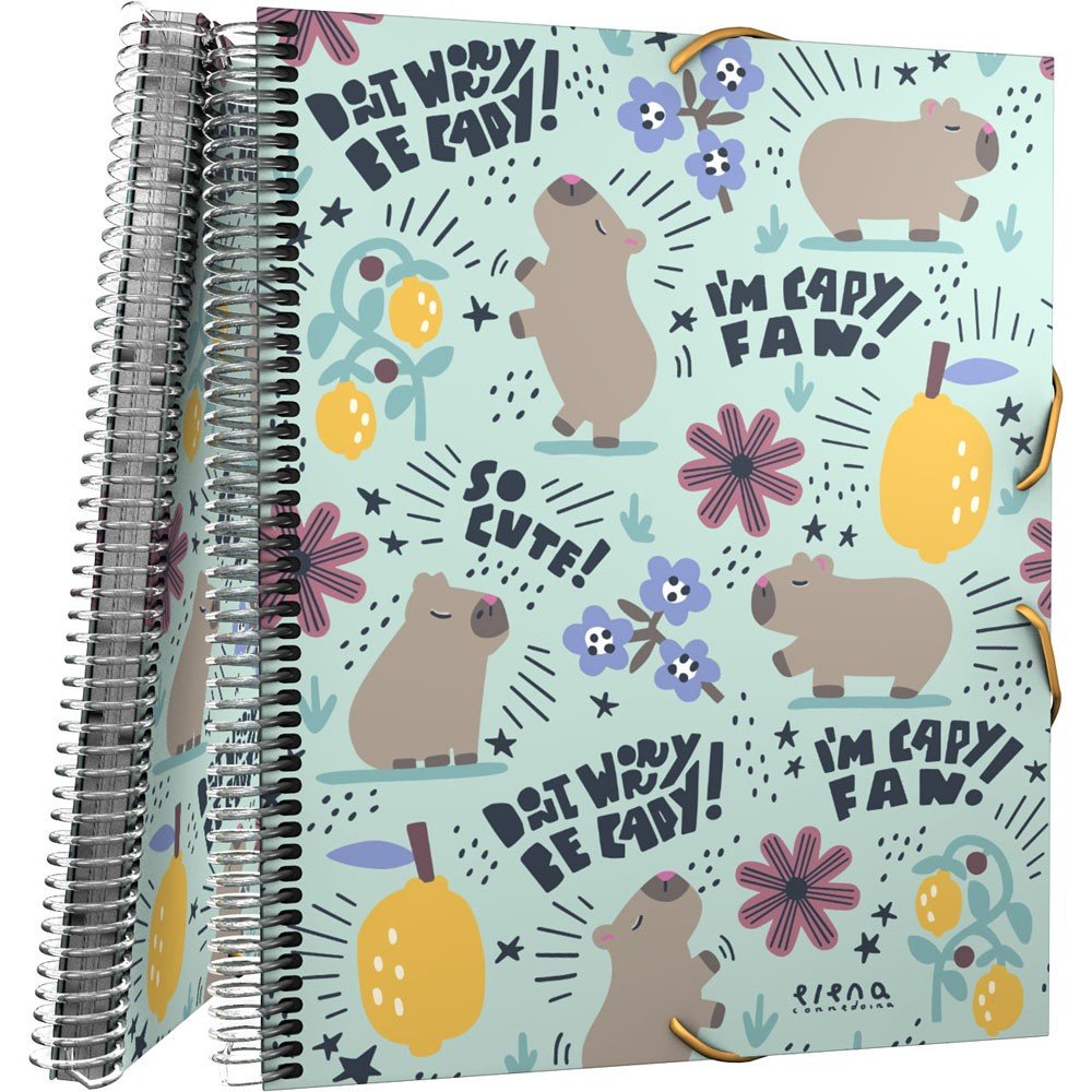 Carpeta Maxiplas PP 30 Fundas Ec Cheerful 26 Marca GRAFOPLAS DISEÑO