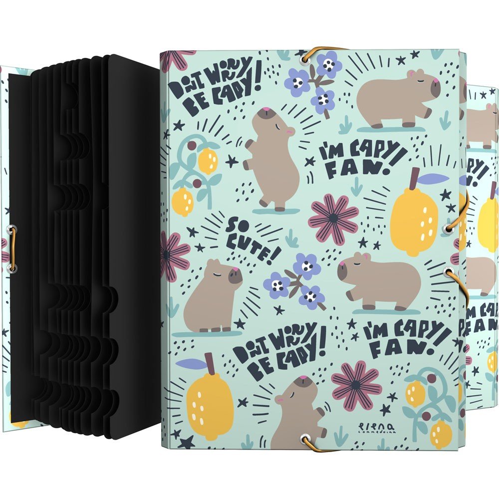 Carpeta Clasificadora Forrada Solapas Ec Cheerful 26 GRAFOPLAS DISEÑO