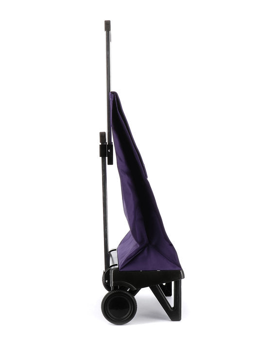 Carro Compra Bolso 2R Plegamatic Rolser