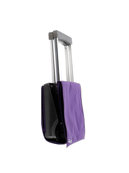Carro Compra Bolso 2R Plegamatic Rolser