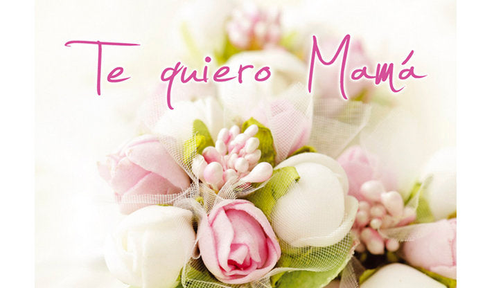 MINI CARD TE QUIERO MAMA | ARGUVAL, S,L, | ENVASE 25 UDS. UNIDAD | 8421363396647 Imagen principal del producto