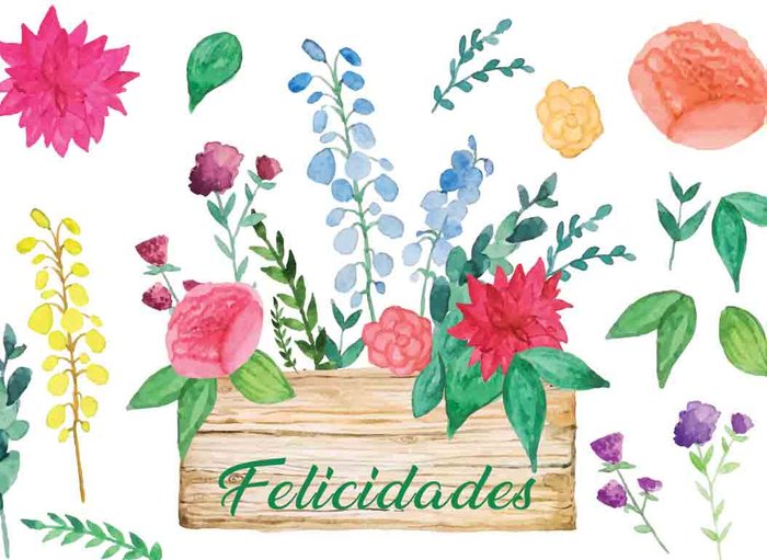 MINI CARD FLORES FELICIDADES | ARGUVAL, S,L, | ENVASE 25 UDS. UNIDAD | 8421363467057 Imagen principal del producto