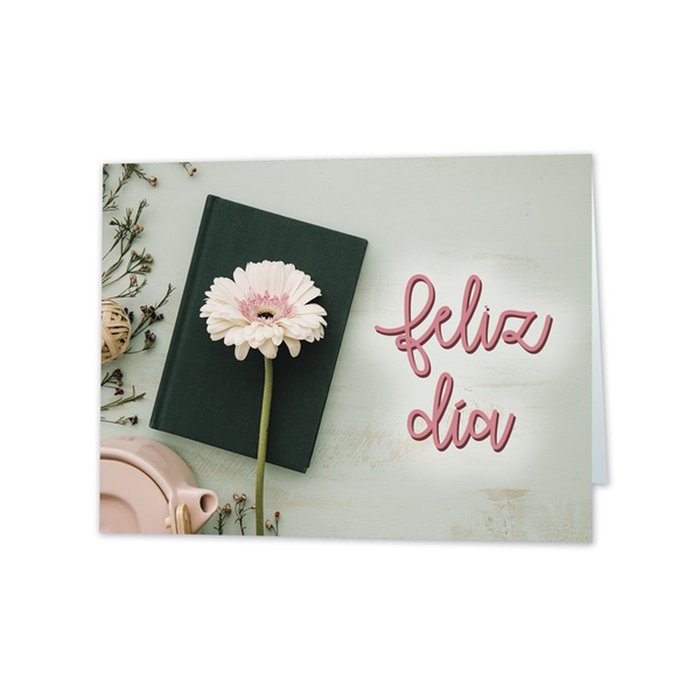 EXPOSITOR 25 TARJETAS MINI CARD GERBERA FELIZ DIA 66X90MM | ARGUVAL, S,L, | ENVASE 25 UDS. UNIDAD | 8421363472990 Imagen principal del producto