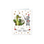 PAQUETE 25 MINI CARD SANT JORDI CON ESTRELLAS | ARGUVAL, S,L, | ENVASE 25 UDS. UNIDAD | 8421363479470