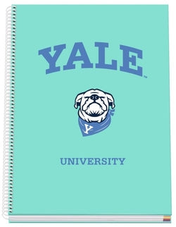 Cuaderno A4 tapa extradura marca Dohe con cuadricula 4x4 Imagen principal del producto