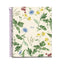 Notebook4 A5 100 Hojas Liso Mediterraneo Botanical Flora MIQUELRIUS GIFT