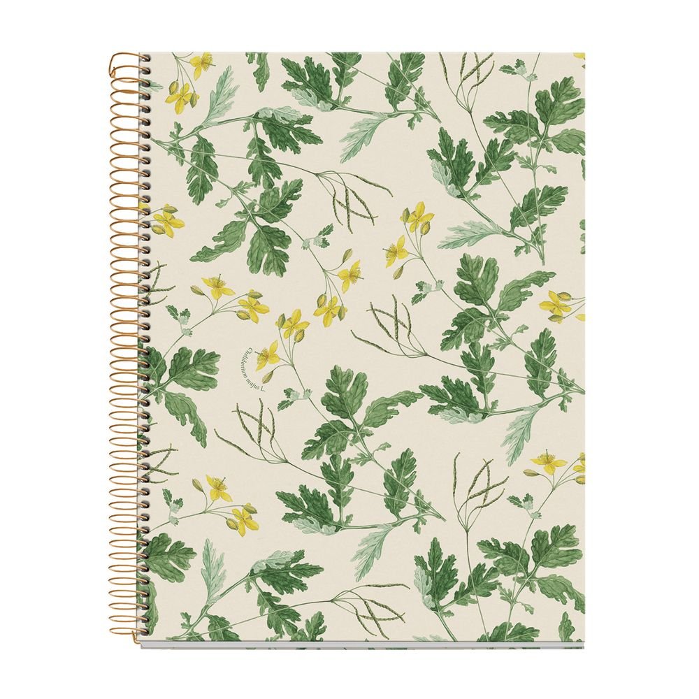 Cuaderno A4 80 hojas cuadrícula Miquelrius Chelindonium