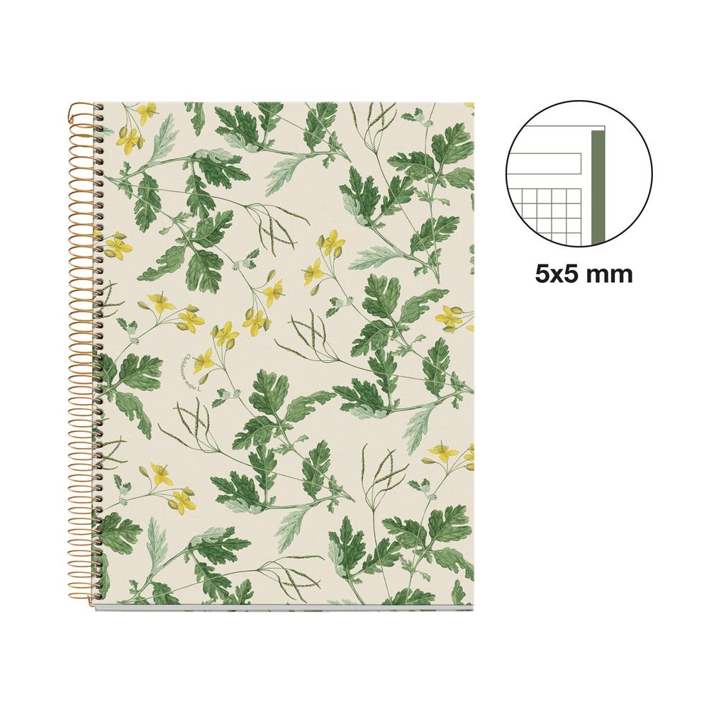 Cuaderno A4 80 hojas cuadrícula Miquelrius Chelindonium