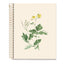 Cuaderno A5 80 H Liso 90 Entredos Chelindonium Miquelrius Diseño