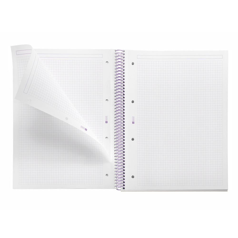 Cuaderno A4 80 hojas cuadrícula Between the Lines Malva