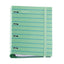 Carpebloc Foam Between the Lines Mint | Miquelrius