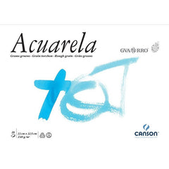 Bloc Espiral Estándar Liso 20H 90g | Guarro & Canson | Cartón | Formato Estándar | Pack 1 Unidades