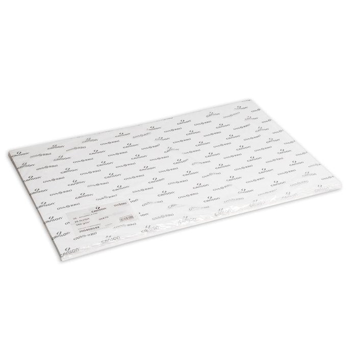 PAPEL ACUARELA 50X70 350GR GRANO FINO | 1 UNIDADES | (GUARRO & CANSON)