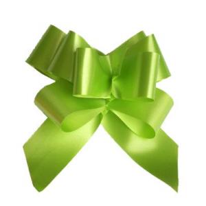 LAZO AUTOMATICO 2200 31MM VERDE | EUROCINSA | 1 UNIDAD | 8422917216350 Imagen principal del producto