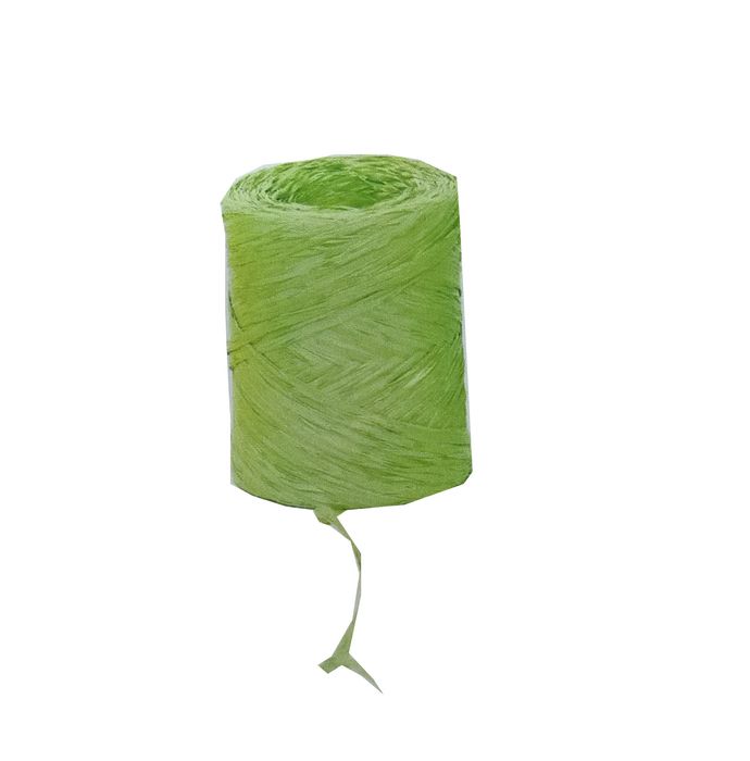 ROLLO CINTA RAFIA 15MMX200M VERDE CLARO | EUROCINSA | 1 UNIDAD | 8422917526725 Imagen principal del producto