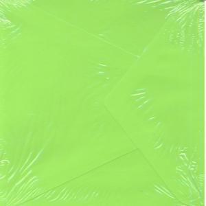 SOBRE 11X22 80GR VERDE HIERBA | 25 UNIDADES | (MICHEL PAPELES ESPECIALES)