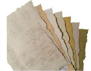 Pergamino A5 Troquelado 2608 Parchment Humo Michel Imagen principal del producto