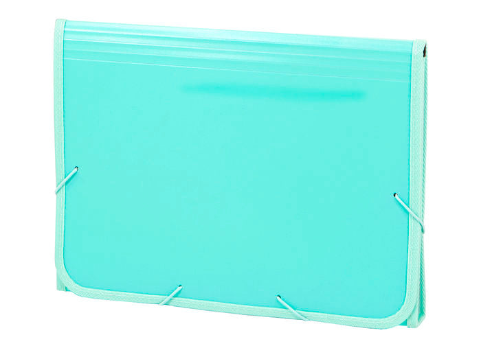 ACORDEON PP SOFT FOLIO 13 DPTOS RIBETE GOMA MENTA | CARCHIDEA, S,L, Imagen principal del producto