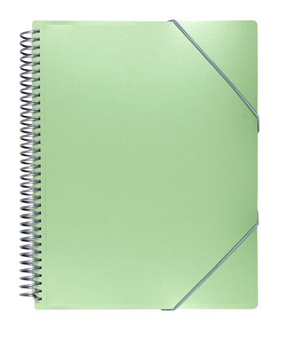 CARPETA 20 FUNDAS ARCHIVEX METALIZADA SOBRE VERDE | 1 UNIDADES | (CARCHIDEA, S,L,) Imagen principal del producto