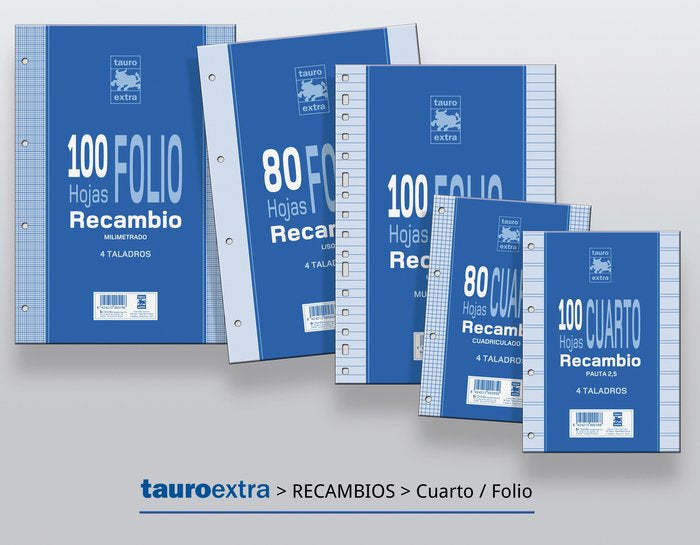 Recambio folio 100H multitaladro cuadro 4mm 60g Manipulados Zorrilla Imagen principal del producto