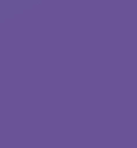 LAMINA GOMA EVA 20X30 VIOLETA | 10 UNIDADES | (FAIBO) Imagen principal del producto
